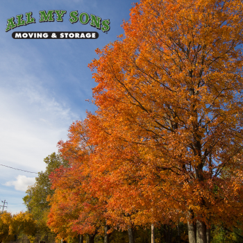 leaves on trees turning orange during fall near fairfield ohio