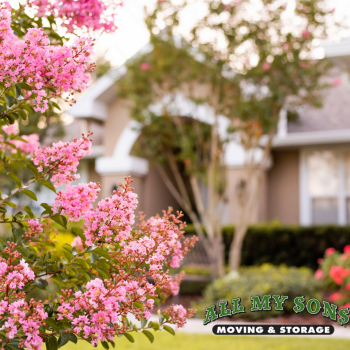 a pink flower bush out front of a beige house in hialeah, florida