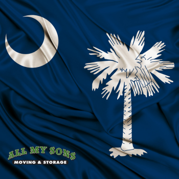 south carolina state logo of a white palm tree and moon on a dark blue background