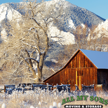wooden barn next to a tree during winter in boulder