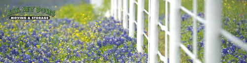 field of purple and yellow flowers along a white fence