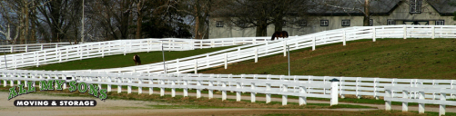 horse farm in Lexington, KY