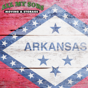 The Arkansas state flag.