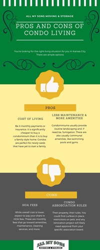 Pros and Cons of Condo Living infographic