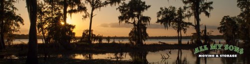 swampy bayou and trees at sunset near st rose, la