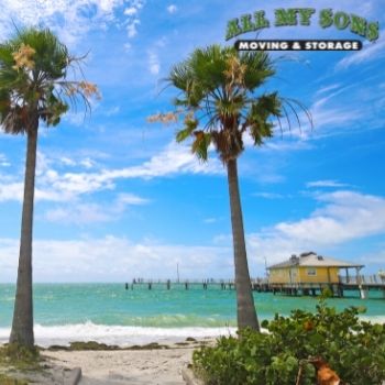 Beach and palm trees in Tampa Bay, Florida