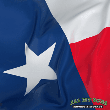 the texas state flag