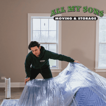 Mesa local movers in Mesa, Arizona